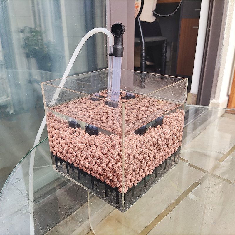透明アクリル製エビ水槽フィルターシステム水槽スクエアUGFボ - Seaweed Snack のレビューと価格
